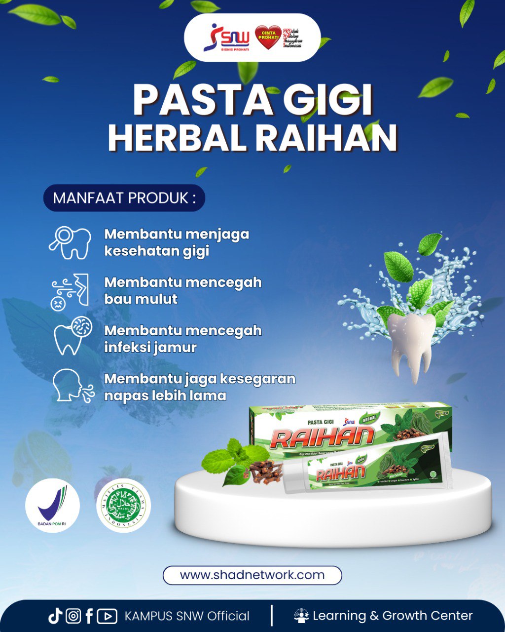 Raihan Pasta Gigi Herbal 4 Tube